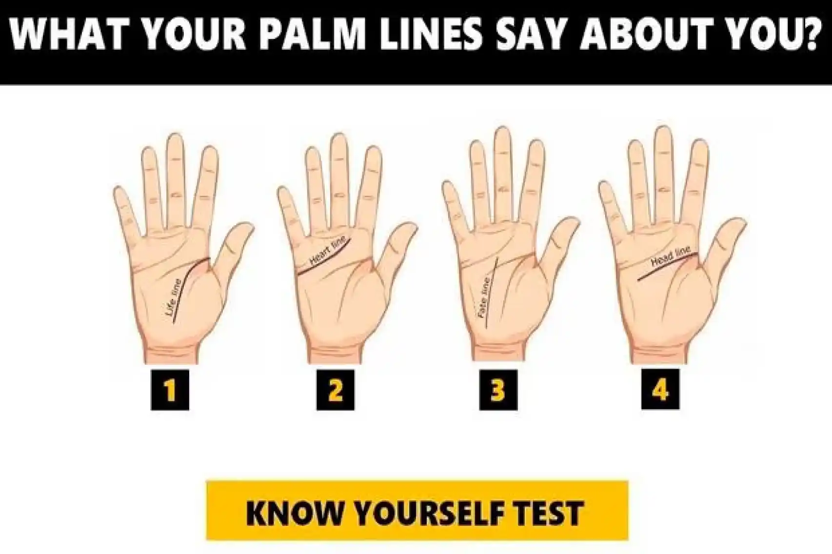 736686630 230427302 1706x1136